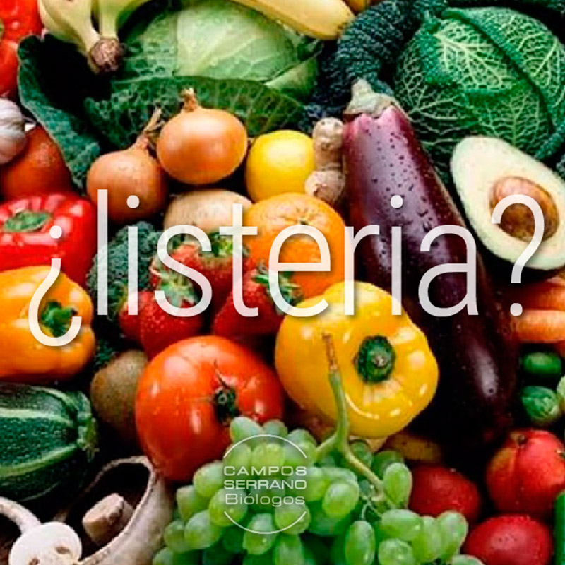 La-listeria-una-bacteria-que-afecta-a-la-seguridad-alimentaria-Campos-Serrano-biologos