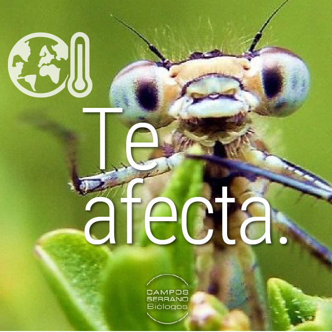 Cambio climático y ciclo biológico de los insectos