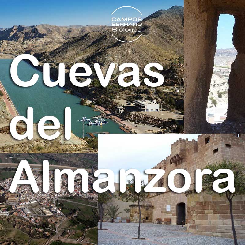 control de plagas en Cuevas del Almanzora